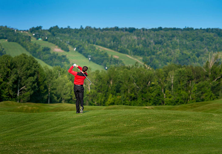 Luxury Homes in Blue Mountain